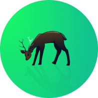 Wilderness avatar