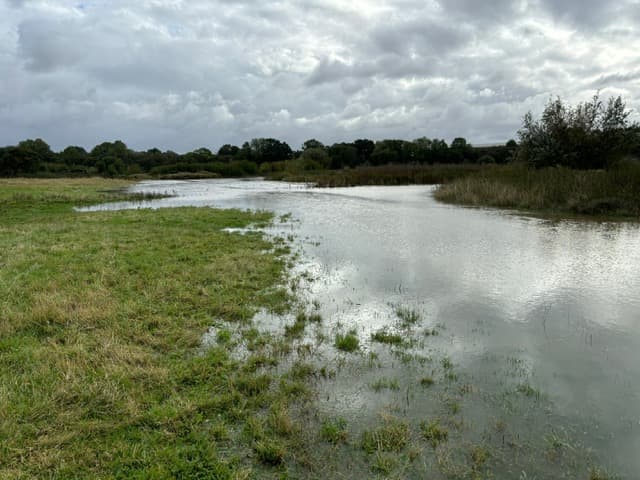 An image of Rewiggling Harpers Brook