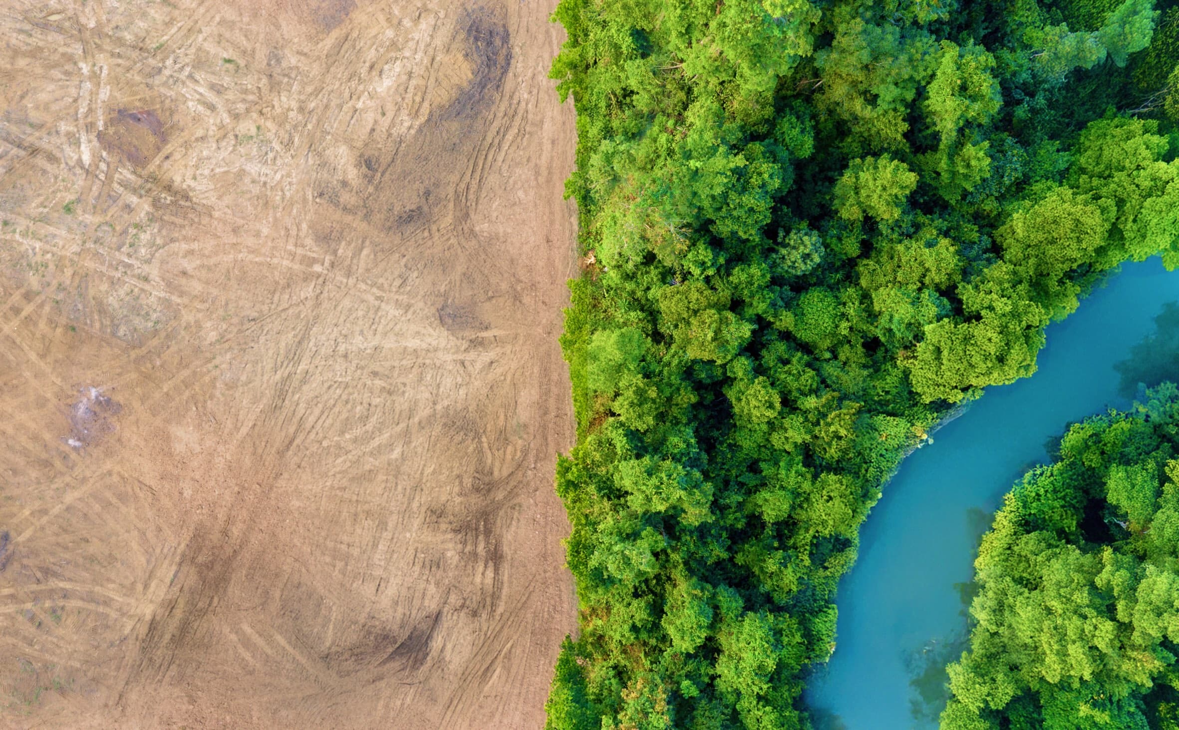 An image of The Fight for the Amazon