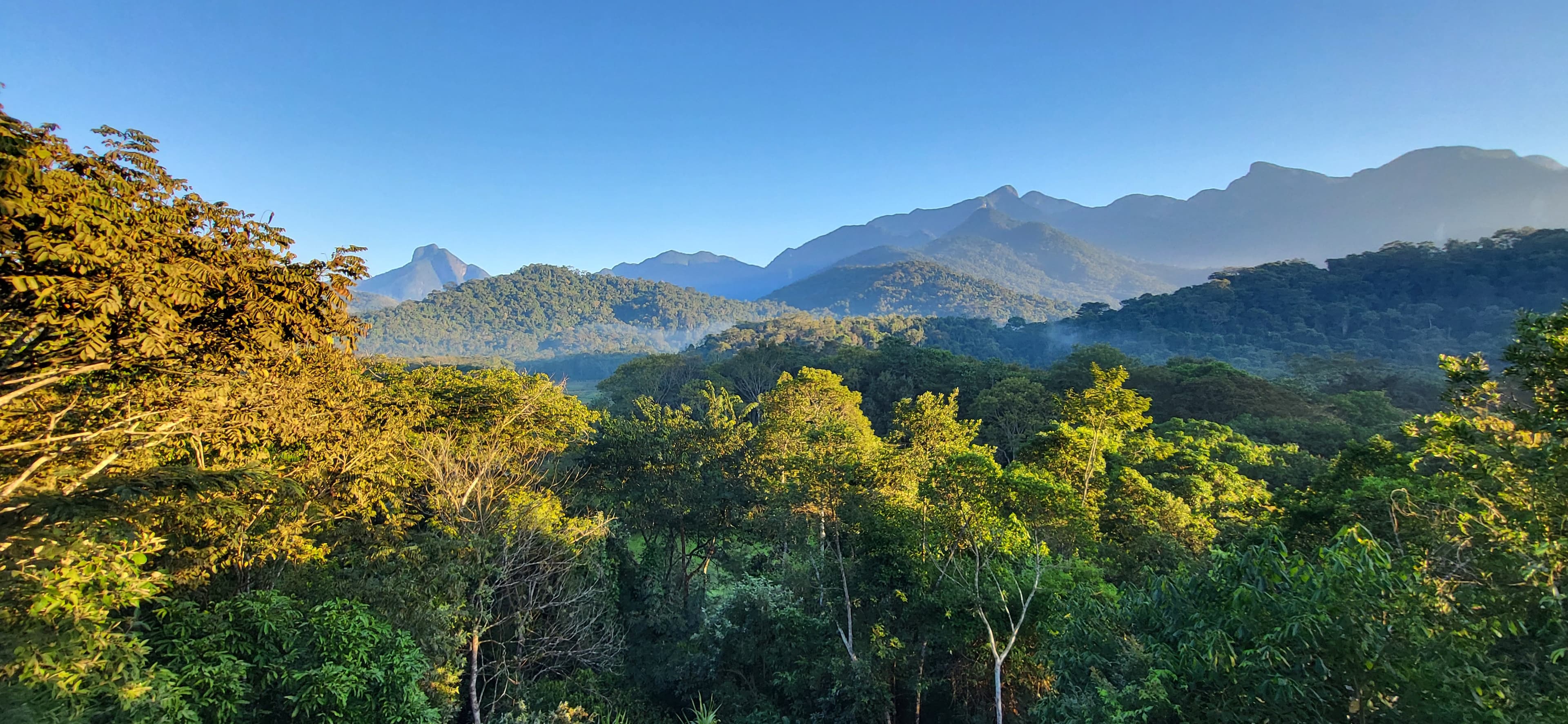 An image of World Land Trust