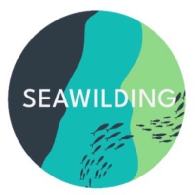 Seawilding's Profile Picture