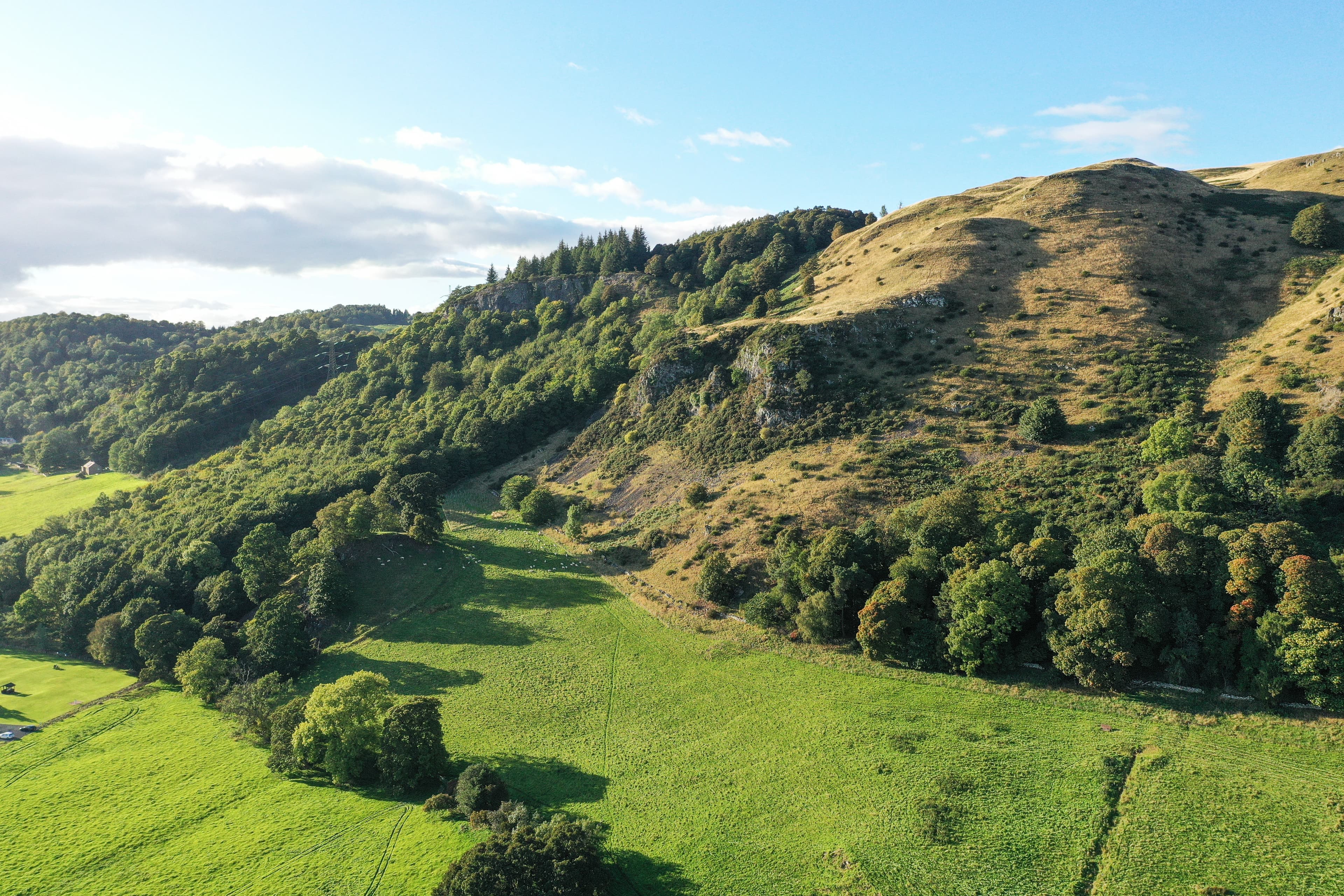 An image of Reforestation and the protection of ancient woodland